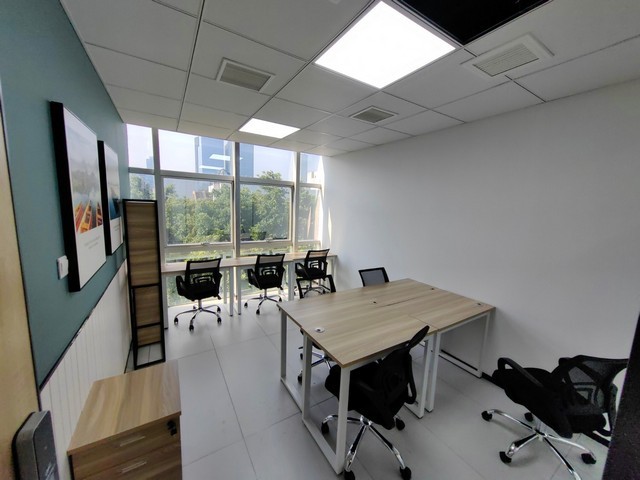 黄浦区花卉养护价格低